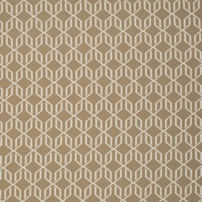 Mitchell Fabrics Taproot Coffee