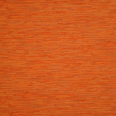 Mitchell Fabrics Clarity Citrus