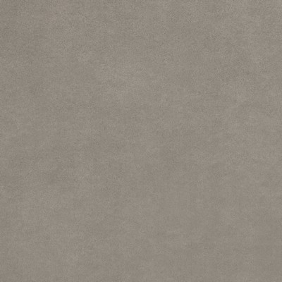 Mitchell Fabrics Spark Platinum