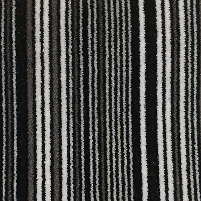 Scalamandre PINSTRIPE VELVET BLACK & WHITE