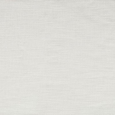 Scalamandre ACTIVATOR DOUBLE FACE FR NATURAL WHITE