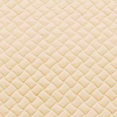 Scalamandre PROJECT FORM WATER REPELLENT IVORY