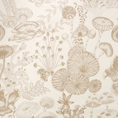 Scalamandre TOILE LIFE - OUTDOOR FR LINEN