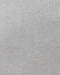 Scalamandre Expert Light Gray Fabric