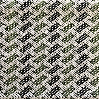 Scalamandre TIEBELE GREEN MOSS