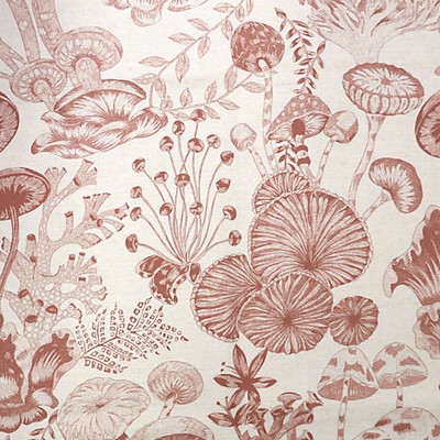 Scalamandre TOILE LIFE - OUTDOOR FR CORAL GABLE