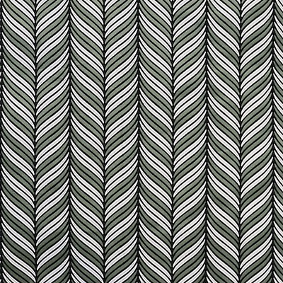 Scalamandre CAROUSEL CORD OIL GREEN