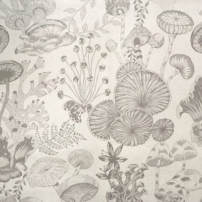 Scalamandre TOILE LIFE - OUTDOOR FR LIGHT GRAY