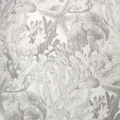 Scalamandre TOILE SEALIFE - OUTDOOR FR LIGHT GRAY
