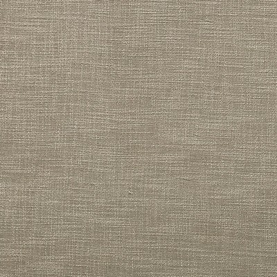 Scalamandre ACTIVATOR DOUBLE FACE FR GREIGE