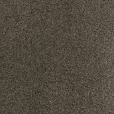 Scalamandre RESISTANCE EASY CLEAN FR TAUPE