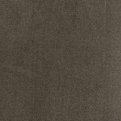 Scalamandre RESISTANCE EASY CLEAN FR TAUPE