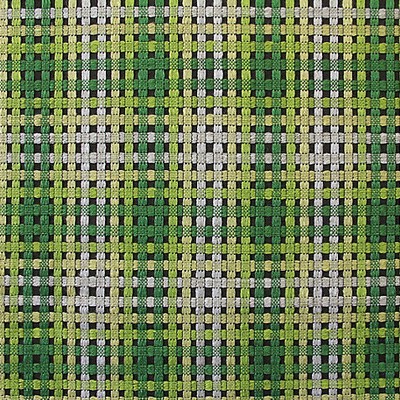 Scalamandre TWIGGY DEEP FOREST