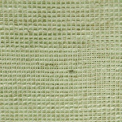 Scalamandre GIGI TOUCH OF LIGHT GREEN