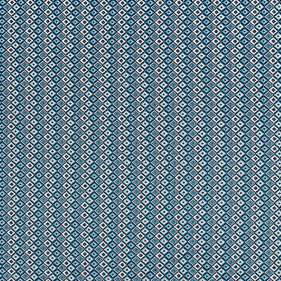 Scalamandre HERDADE CYANOTYPE BLUE