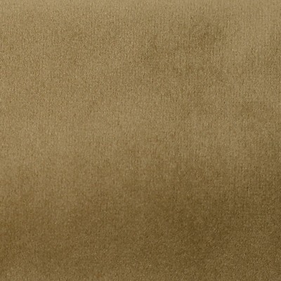 Scalamandre SAFETY VELVET SIMPLY TAUPE