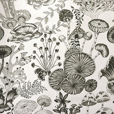 Scalamandre TOILE LIFE - OUTDOOR FR DARK ANTHRACITE