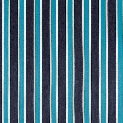 Scalamandre CABANA CYANOTYPE BLUE