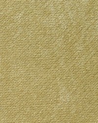 Scalamandre Expert Golden Mist Fabric