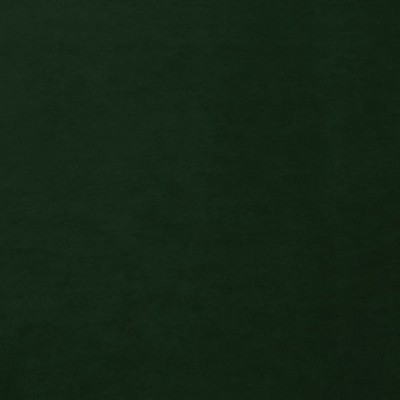 Scalamandre PROJECT WATER REPELLENT DARK GREEN