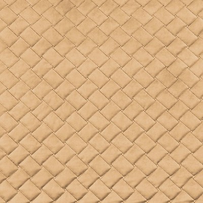 Scalamandre PROJECT FORM WATER REPELLENT SAND