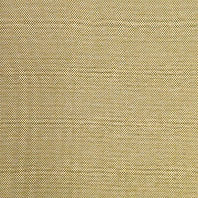 Scalamandre PUKA PUKA - OUTDOOR FR MISTED GOLD
