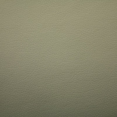 Scalamandre STORM FR POLAR GRAY