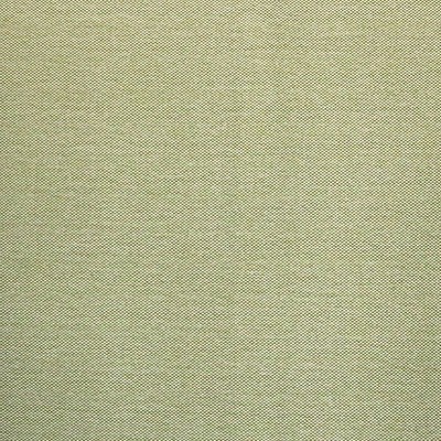 Scalamandre PUKA PUKA - OUTDOOR FR MISTED GREEN