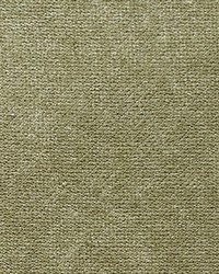 Scalamandre Expert Tarragon Fabric