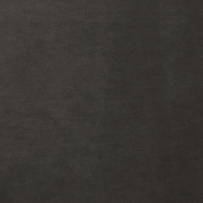 Scalamandre PROJECT WATER REPELLENT STEEL GRAY