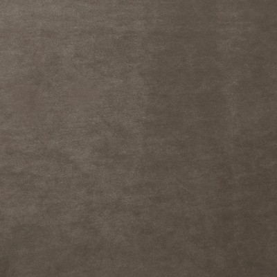 Scalamandre PROJECT WATER REPELLENT DARK TAUPE