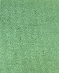 Scalamandre Sucesso Palm Green Fabric