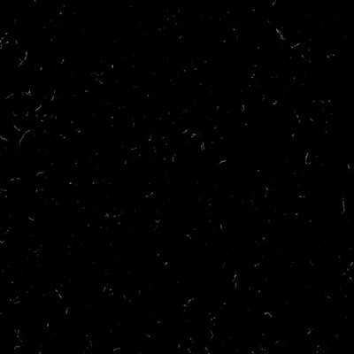 Scalamandre SIEGE JET