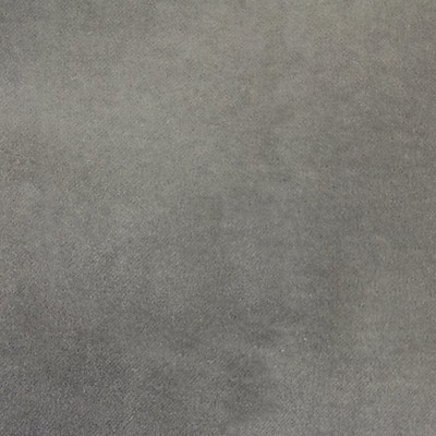 Scalamandre SIEGE LIGHT GREY