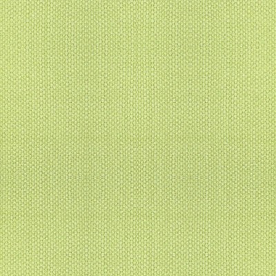 Scalamandre ASPEN BRUSHED MIMOSA