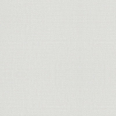 Scalamandre ASPEN BRUSHED PAPER WHITE