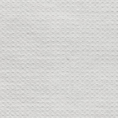 Scalamandre CENTENO SWAN