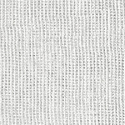 Scalamandre LINO SWAN