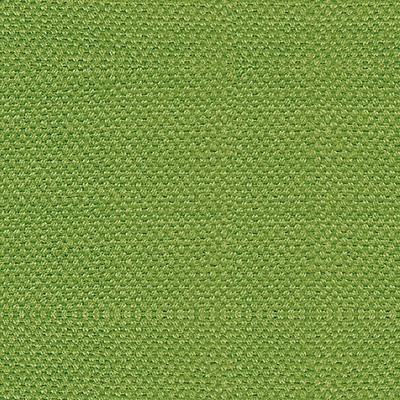 Scalamandre SCIROCCO TENDRIL