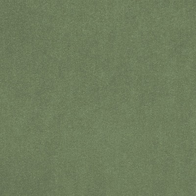 Scalamandre JIMENA SAGE