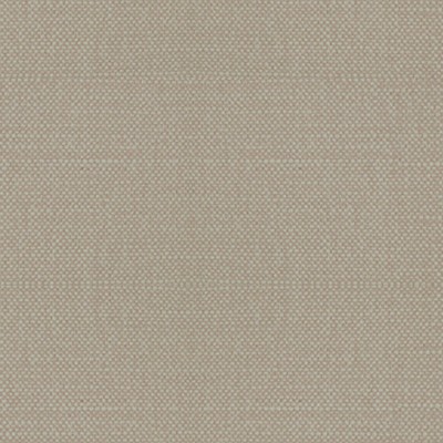 Scalamandre ASPEN BRUSHED RAFFIA