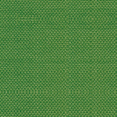 Scalamandre SCIROCCO LIZARD