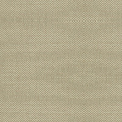 Scalamandre ASPEN BRUSHED ACID GOLD