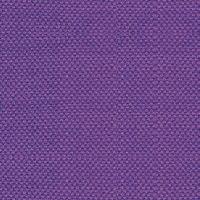 Scalamandre SCIROCCO PETUNIA