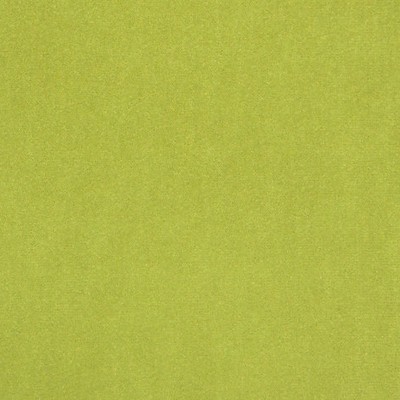 Scalamandre JIMENA ELECTRIC LIME