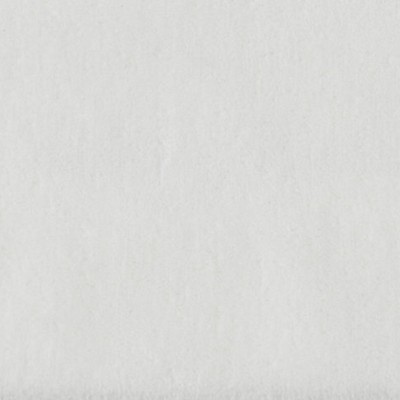 Scalamandre APOLLODOR BONE