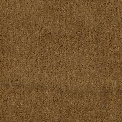 Scalamandre APOLLODOR CARAMEL