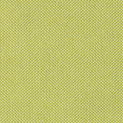 Scalamandre SONNEN-KLAR GREEN APPLE