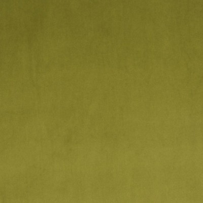 Scalamandre VIP OLIVE