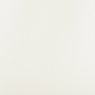 Scalamandre FOGGY ENDIVE